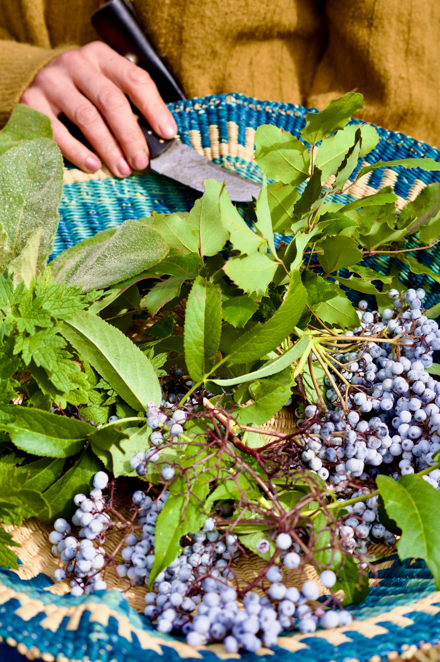Elderberry Fire Cider