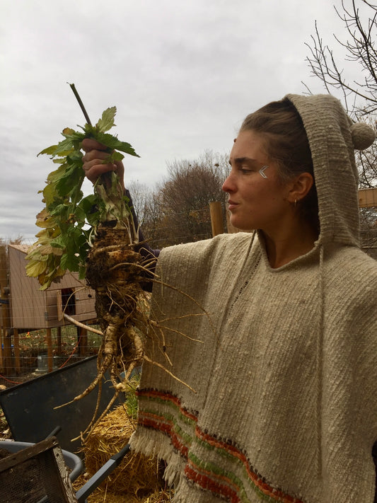 Root Remedies and Tending