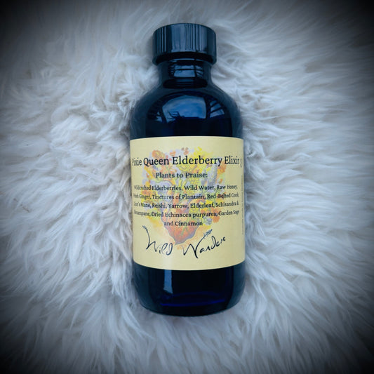 Pixie Queen Elderberry Elixir 4oz