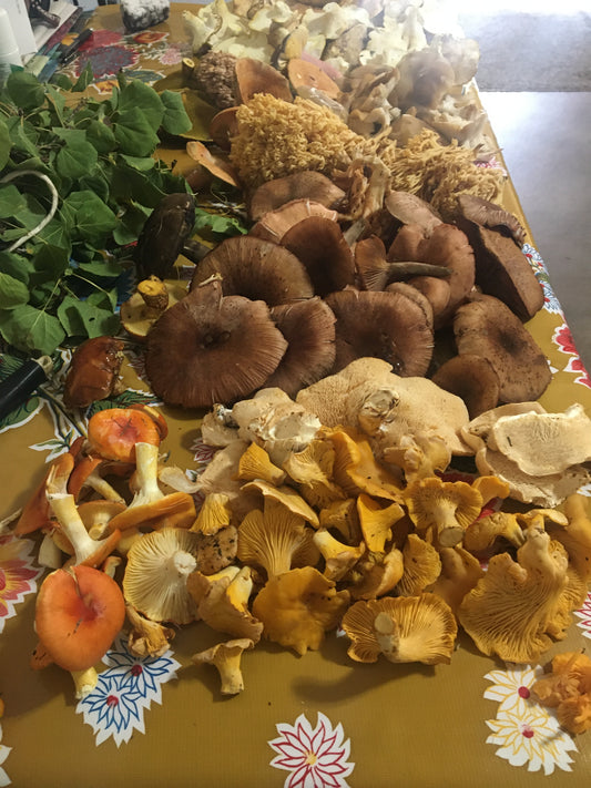 Fall Haul Preservation Class